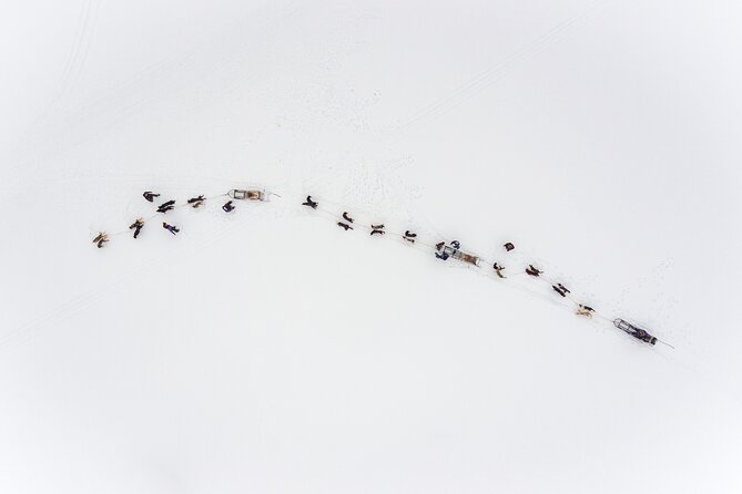 Fun & Easy Dog Sledding Adventure from Tromsø - Early Bird Tour - Who this tour is perfect for, and who should think twice