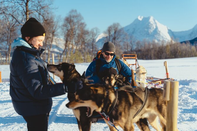 Fun & Easy Dog Sledding Adventure from Tromsø - Noon Tour - Meeting the Alaskan huskies, plus the best kind of dog time