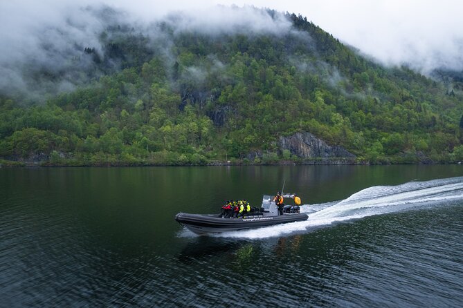 Fyksesund majestic RIB Adventure from Øystese - Price and value around $95.93 per person