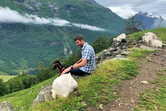 Geiranger by Royal route, 5 hours with visiting a high-mountain farm - Geiranger by Royal route: why five hours feels like more
