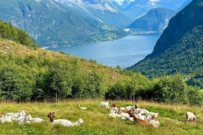 Geiranger by Royal route, 5 hours with visiting a high-mountain farm - Kilsti: a heart-shaped Storfjord panorama you can actually catch