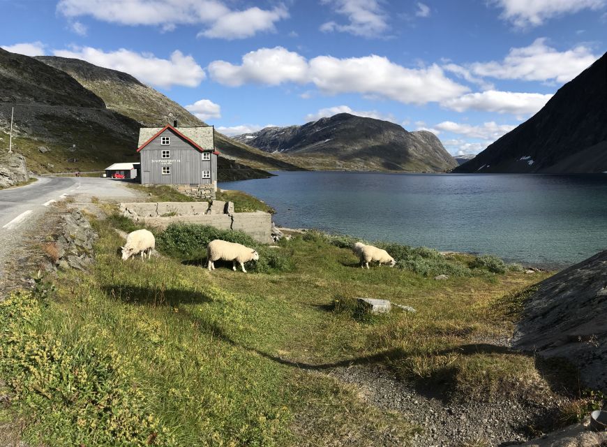 Geiranger: Dalsnibba, Flydalsjuvet, Eagle Bend & Fjords Tour - Djupvatn Lake Stop: A Needed Scale Break