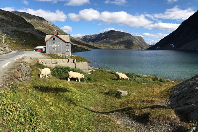 Geiranger: Sky to Fjord Downhill Biking Adventure - Price and value: is $160.09 worth it?