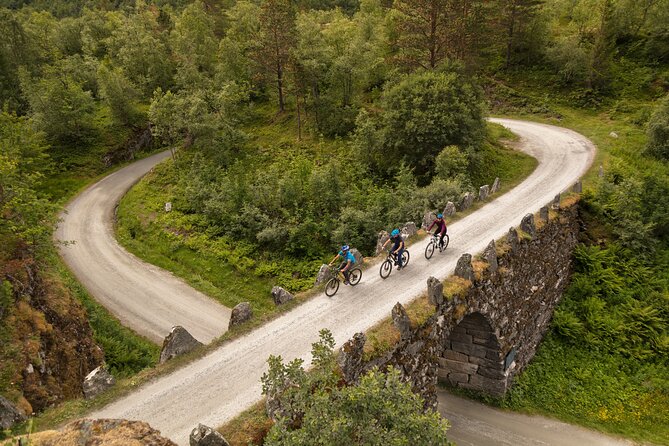 Geiranger: Sky to Fjord Downhill Biking Adventure - The viewpoint stops: where the ride turns into a photo route