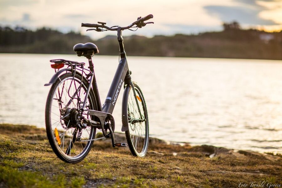 Guided E-Bike Tour in Haugesund: city, vikings, Rising Tides - Haugesund City Centre Stops: Town Hall, Radhusplassen, and Harald Fairhair
