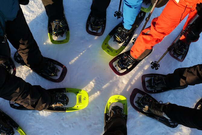 Guided easy snowshoeing with a visit to local café - Key highlights you should care about