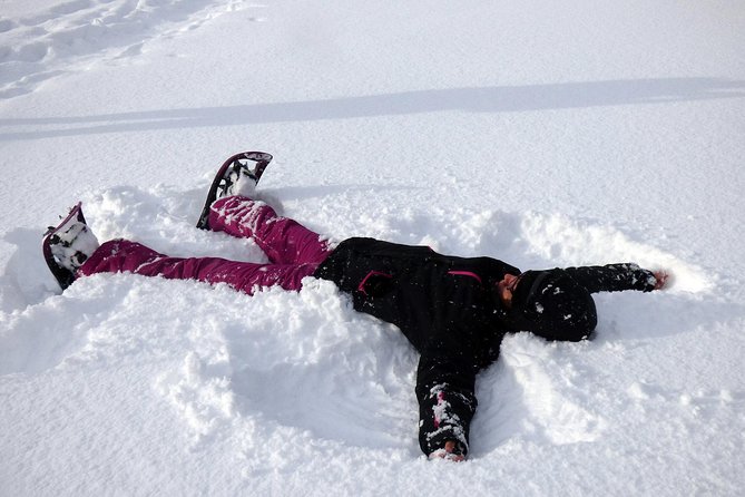 Guided easy snowshoeing with a visit to local café - From Tromsø to Malangen: a winter morning that starts easy