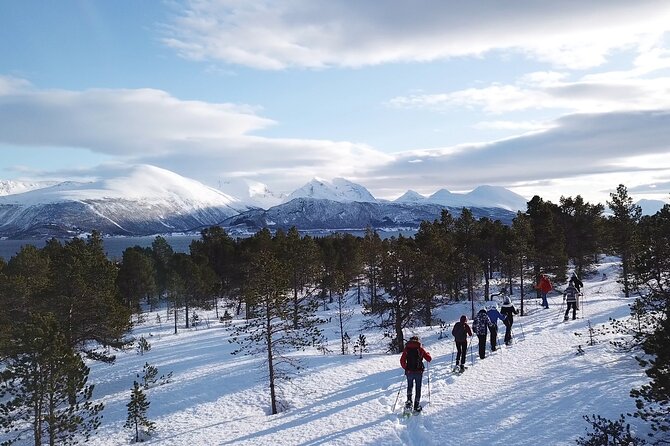 Guided easy snowshoeing with a visit to local café - Going down matters: slippery spots, safe sliding, and a fun pace