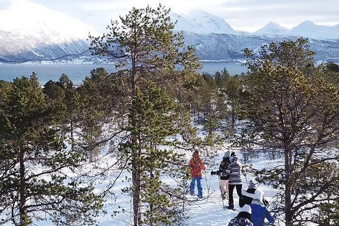 Guided easy snowshoeing with a visit to local café - The café stop: campfire coziness and cake with a view