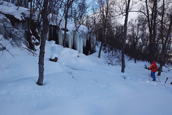 Guided easy snowshoeing with a visit to local café - Snowshoes and poles: the guide-led technique that makes it accessible