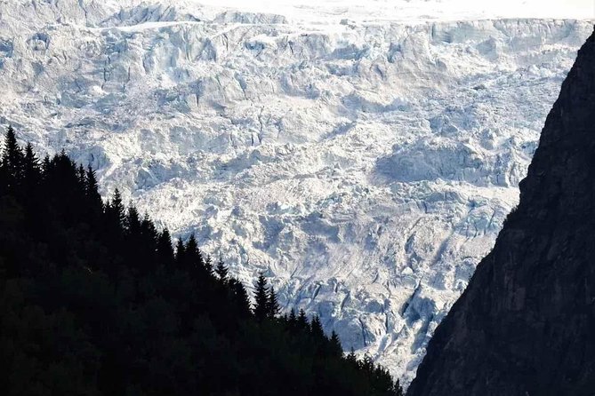 Guided Fjord & Glacier Tour - From BERGEN - Fjords and glacier ice, one long day from Bergen