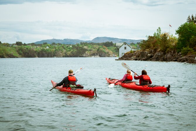 Guided Kayak Tour Bergen - Beginner Coaching That Actually Builds Confidence