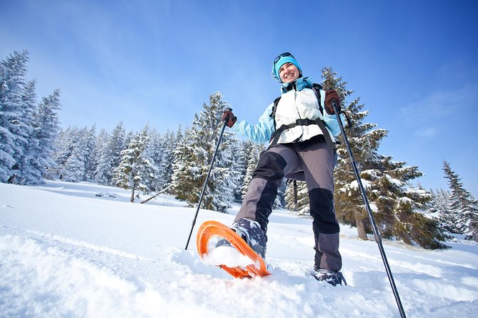 Guided Morning Snowshoe Hike with Huskies - The snowshoe route over deep snow and Arctic views