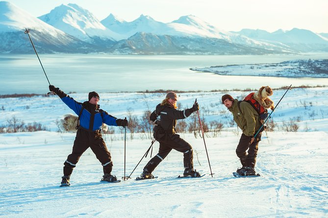 Guided Morning Snowshoe Hike with Huskies - Tromso Wilderness Centre: where the morning begins