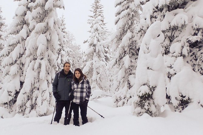 Guided Snowshoe Walk on Tromsoya Island in Tromso - Key highlights to look for