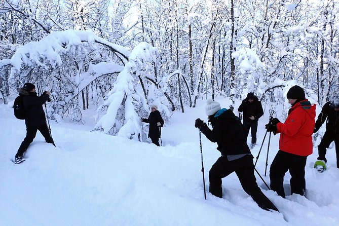 Guided Snowshoe Walk on Tromsoya Island in Tromso - Getting there, meeting up, and getting your gear right