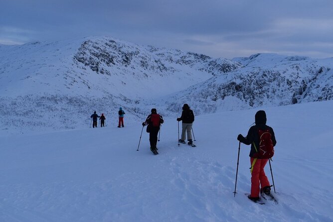 Guided Snowshoe Walk on Tromsoya Island in Tromso - Who should book this snowshoe walk?