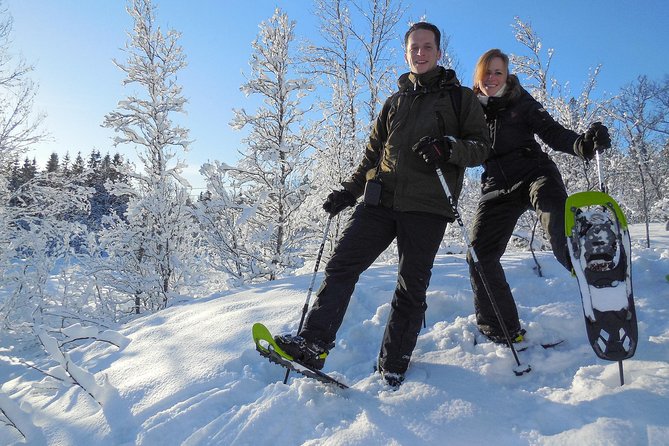Guided Snowshoe Walk on Tromsoya Island in Tromso - The forest walk itself: from instruction to birch and spruce views