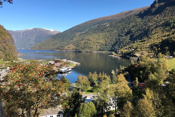 Guided Tour To Nærøyfjorden, Flåm And Stegastein - Viewpoint Cruise - Guide and driving style: what makes the day feel smooth