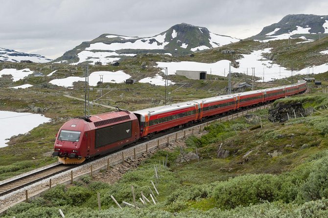 Guided tour - Viking Village, Nærøyfjord Cruise and Flåm Railway - Waterfalls On The Way: Tvindefossen And The Stalheim Area