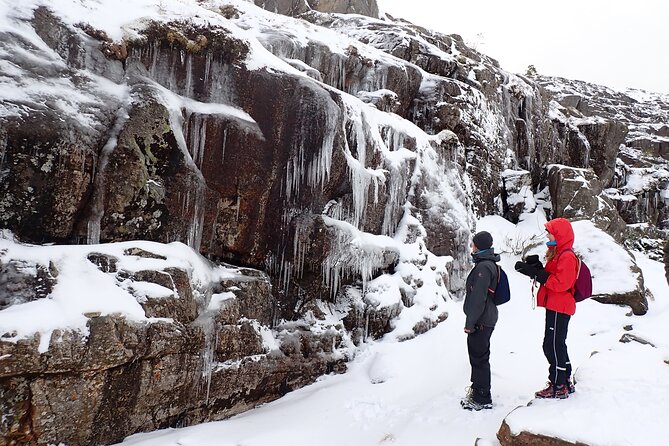 Guided winter hike to Pulpit Rock Preikestolen - The hike to Preikestolen: cold traction, pace, and confidence