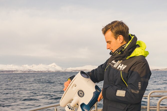 Half Day Arctic Fjord Cruise from Tromso - Key highlights you should not skip