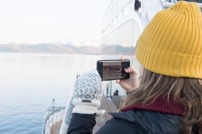 Half Day Arctic Fjord Cruise from Tromso - Ramfjorden stop: wildlife odds and winter-fjord stories