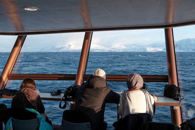 Half Day Arctic Fjord Cruise from Tromso - Onboard Brim Explorer: photo time, warmth, restrooms, and WiFi
