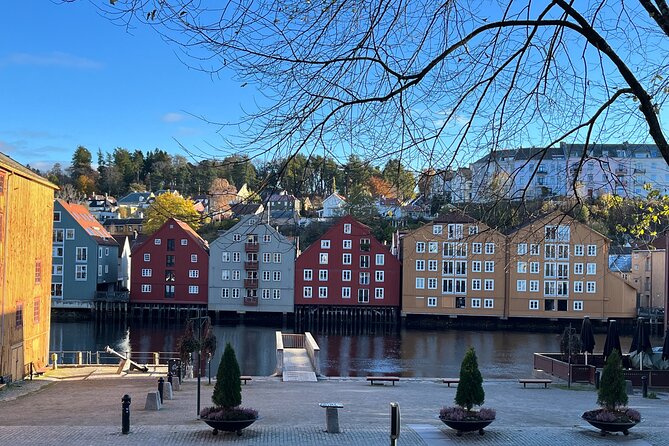 Half-Day Highlights of Trondheim by Bus and City Walk - Solsiden and Stiftsgården: the sunny district and a royal residence moment