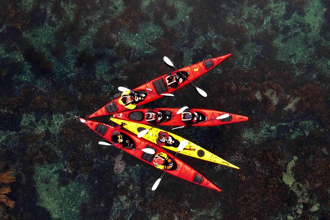 Half Day Kayak - Northern Explores AS - Key things to know before you paddle