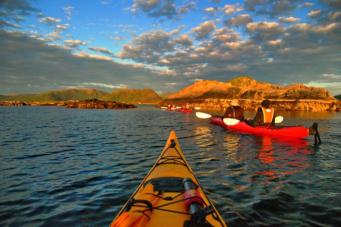 Half Day Kayak - Northern Explores AS - Birds, sea life, and guide stories you can actually use