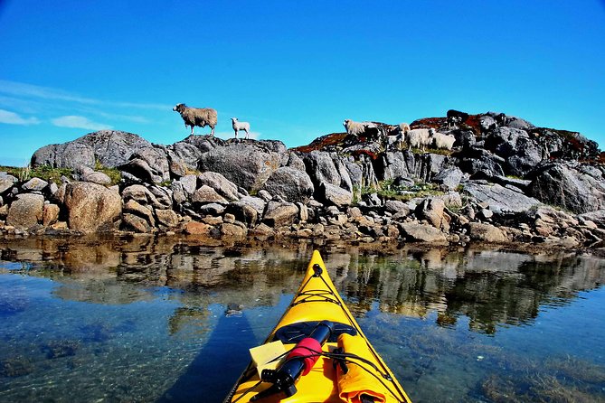 Half Day Kayak - Northern Explores AS - Snacks, tea, and the break that saves your shoulders