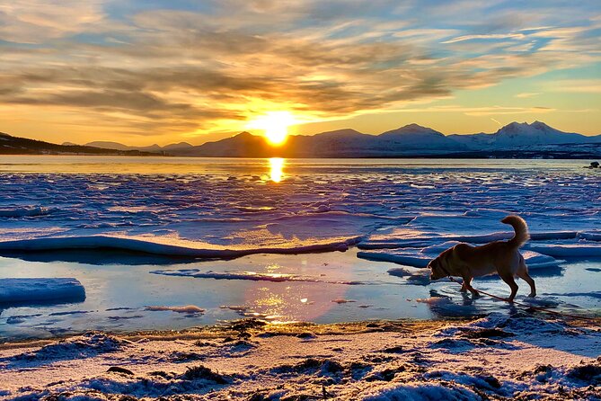 Half-Day Scenic Wildlife & Photographic Fjord Tour. - The 9:20 am format, small group pacing, and how you spend time