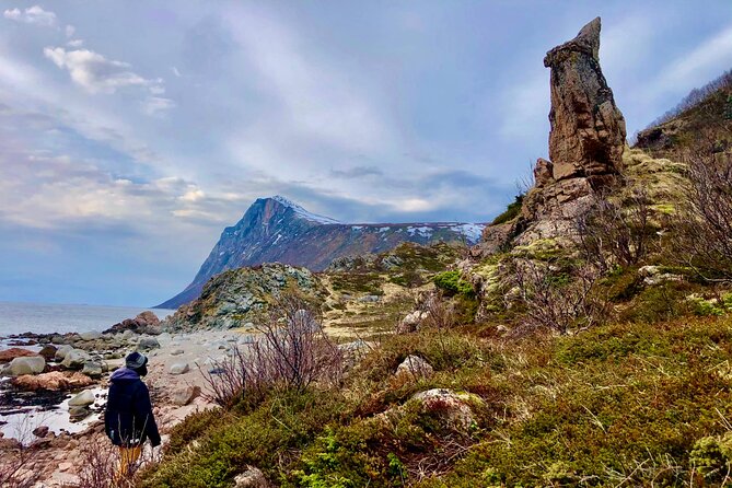 Half-Day Scenic Wildlife & Photographic Fjord Tour. - Stop areas on Kvaløya: what you’re really capturing