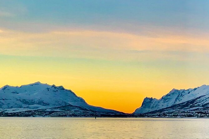 Half-Day Scenic Wildlife & Photographic Fjord Tour. - Winter blue-day light and wildlife odds you can plan for