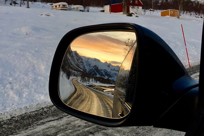 Half-Day Scenic Wildlife & Photographic Fjord Tour. - Comfort, snacks, and walking on slippery Tromsø ground