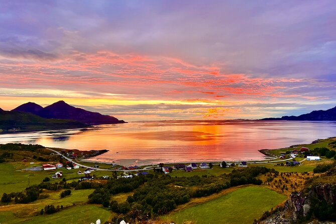 Half-Day Scenic Wildlife & Photographic Fjord Tour. - Marianne’s professional approach, plus the local feel