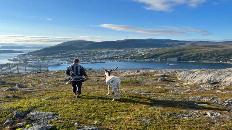 Hammerfest: Guided Tour - Meet Reindeer - The warm start, photo stop, and short sightseeing moment