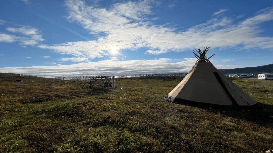 Hammerfest: Guided Tour - Meet Reindeer - Guided herding camp time, feeding reindeer by hand