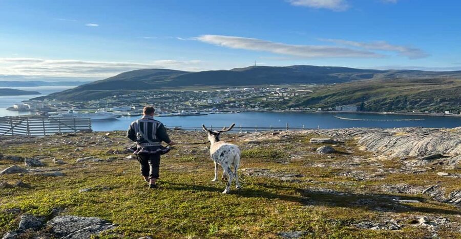 Hammerfest: Guided Tour - Meet Reindeer - The views from camp, Hammerfest and the Arctic Ocean