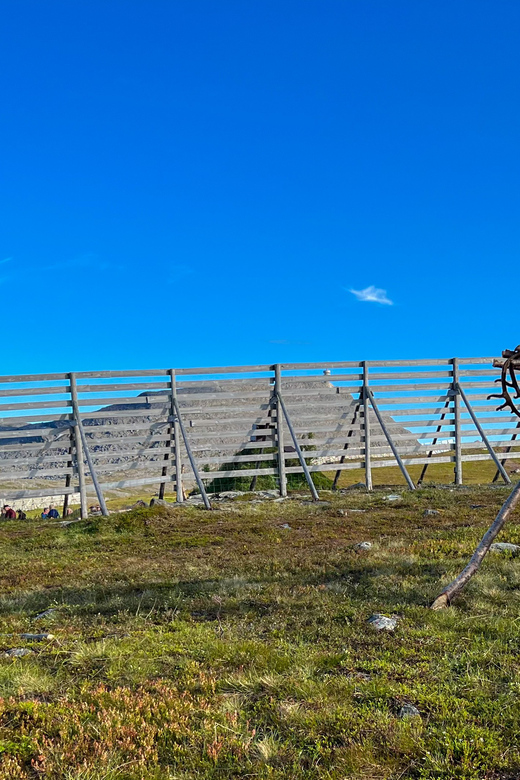 Hammerfest: Guided Tour - Meet Reindeer - Finding SamiBooking at the top of the mountain