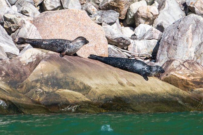 Hardangerfjord Ultimate RIB adventure from Ulvik - Why a RIB from Ulvik beats the usual fjord cruise