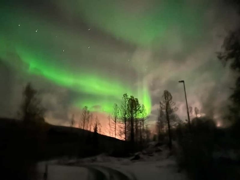 Harstad/Narvik/Tjeldsund: Northern Lights Sightseeing by Car - Who this tour is best for (and who should choose something else)