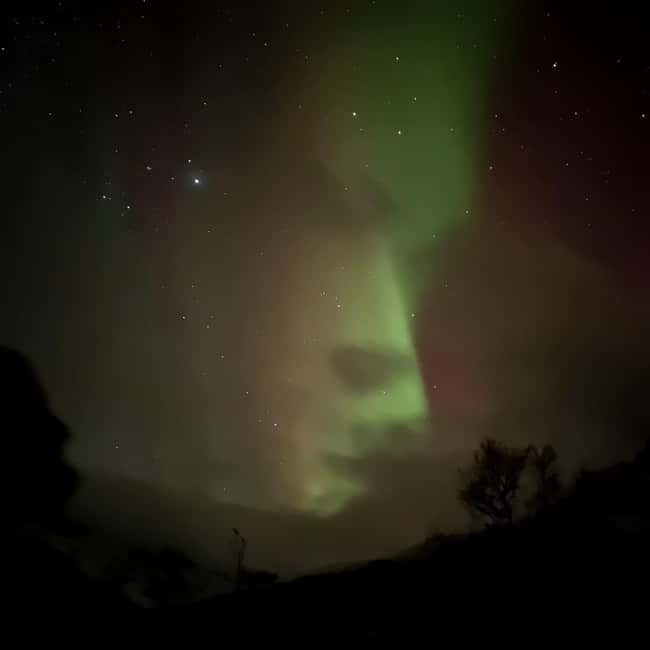 Harstad/Narvik/Tjeldsund: Northern Lights Sightseeing by Car - Wine, warmth, and the BBQ option when you want a proper break