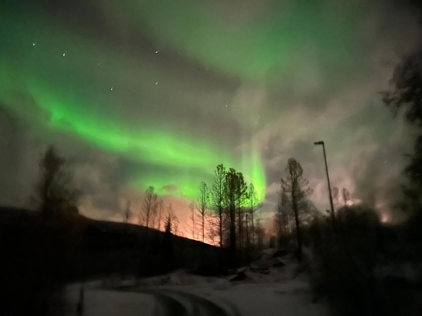 Harstad/Narvik/Tjeldsund: Northern Lights Sightseeing by Car - Wildlife encounters that often steal the show