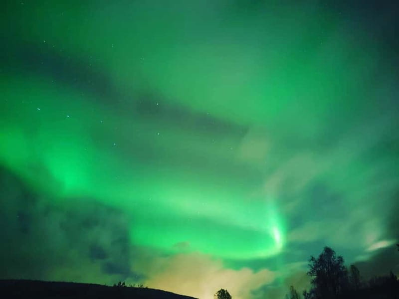 Harstad/Narvik/Tjeldsund: Northern Lights Sightseeing by Car - Price and value: what $215 buys in a private winter night