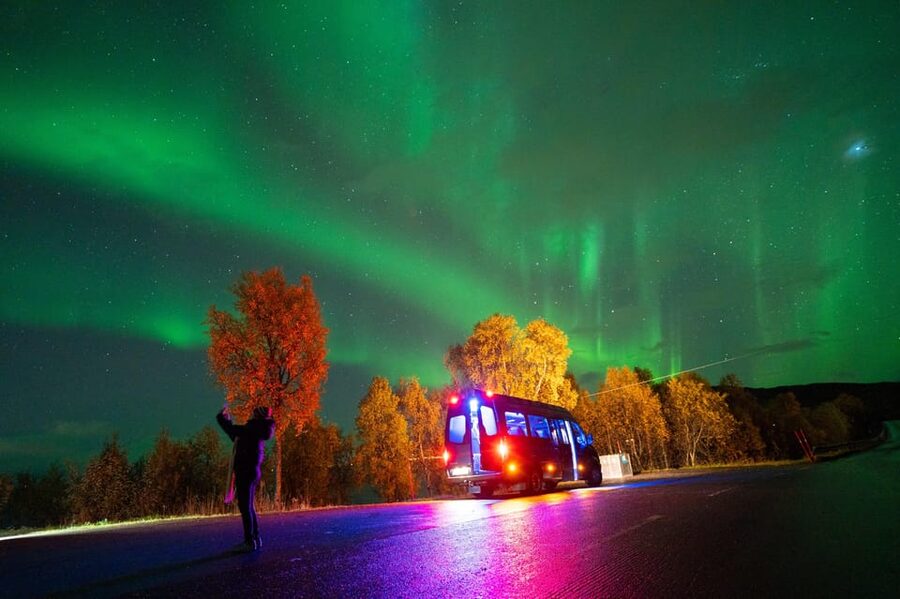 Harstad: Northern Lights Hunt on Hinnøya Island - What you do while you wait: fire, lefse, and aurora basics