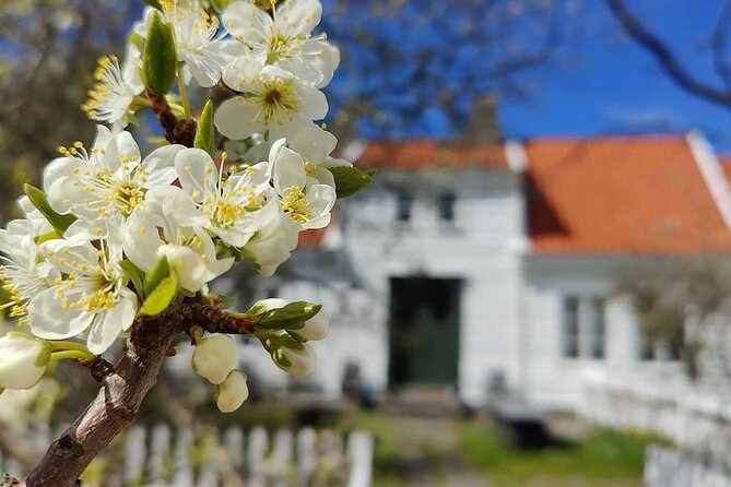 Highlights of the Region -City/Skudenes/Avaldsnes Guided Bustour - Key things to know before you go