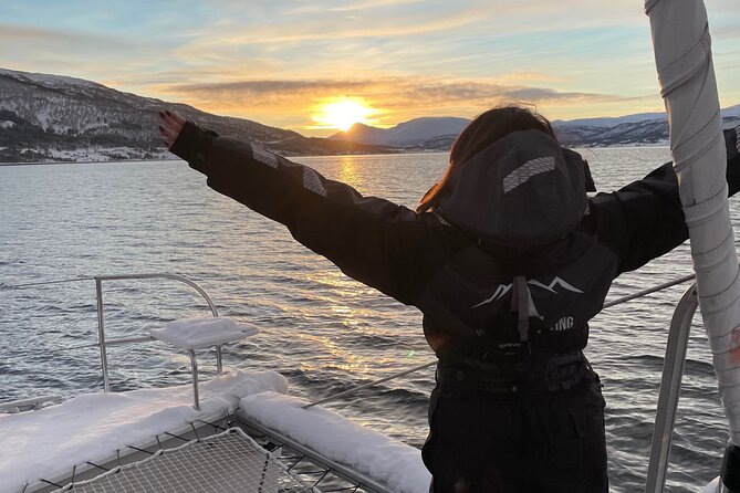 History Fjordcruise Around The Isle Of Tromso - Luxury Catamaran - The 2-Hour Route: City Center to Open Fjord Views