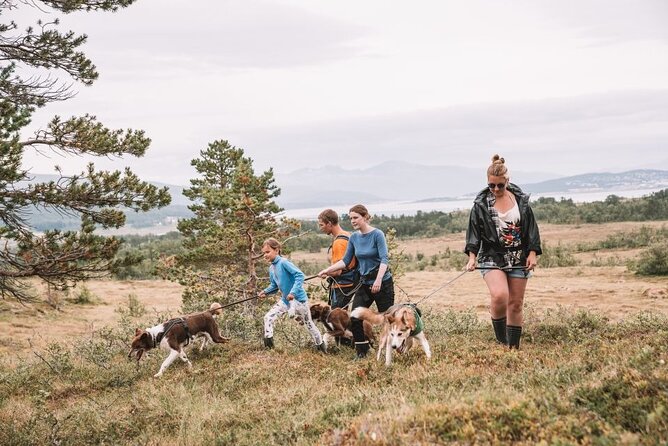 Husky Hike and Puppy Visit with Lunch - Husky Power Meets Puppy Joy in Tromso